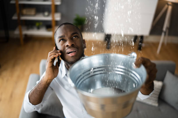 Trusted Montesano, WA Water damage restoration Experts